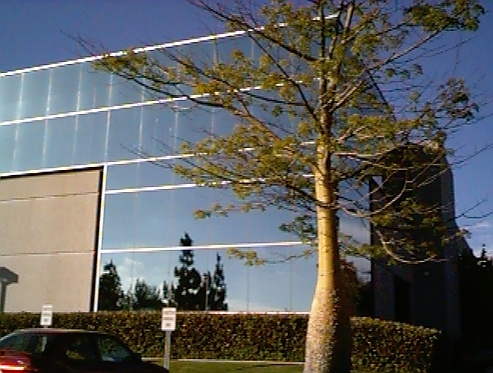 Original image