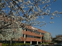 03240069